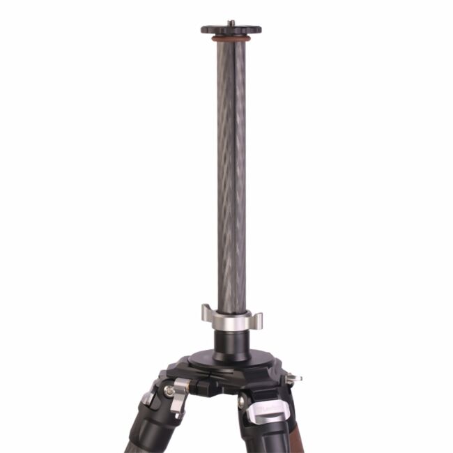 LEO DC 404 C 04