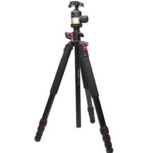 CL50599 011 3